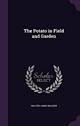 The Potato in Field and Garden