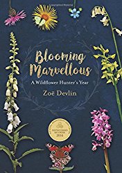 Blooming Marvellous: A Wildflower Hunter’s Year