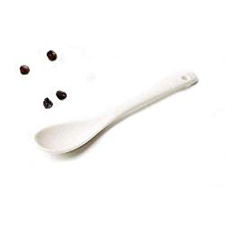 AKOAK 5 Inches White Ceramic Spoon for Coffee,Tea,Yogurt,Ice-cream,Appetizers and Desserts