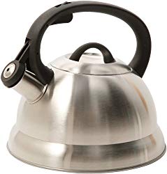 Mr. Coffee 91407.02 Flintshire Stainless Steel Whistling Tea Kettle, 1.75-Quart, Silver