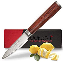 Professional Paring Knife, 4 inch with Japanese VG-10 Stainless Steel – Ultra Sharp Kitchen Knives with a Stunning Damascus Blade and No-Slip Pakkawood Handle
