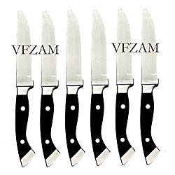 6 LONGHORN STEAKHOUSE STEAK KNIVES New! ~ BBQ Kitchen Dining Chop Knife Set