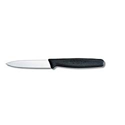 Victorinox 1-Piece Paring Knife Fibrox Handle 3-1/4-Inch 5.0603