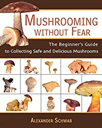 Mushrooming without Fear: The Beginner’s Guide to Collecting Safe and Delicious Mushrooms
